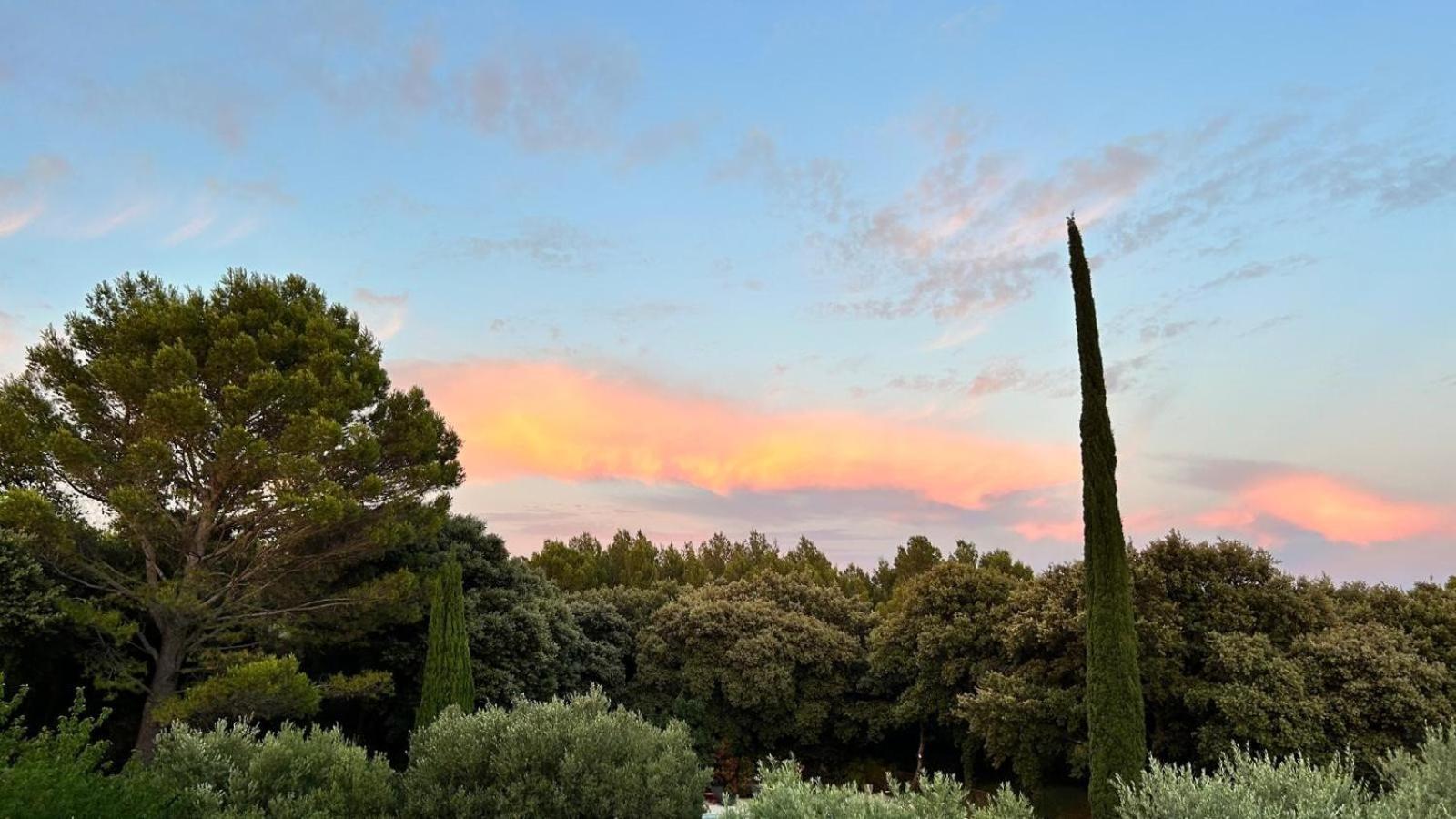Domaine Colibri En Provence Hotel Pujaut Eksteriør billede